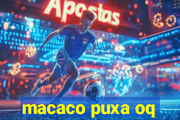 macaco puxa oq